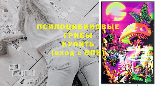 ALPHA PVP Медвежьегорск