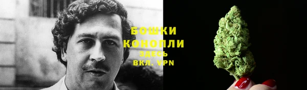 ALPHA PVP Медвежьегорск