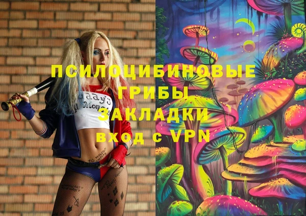 ALPHA PVP Медвежьегорск