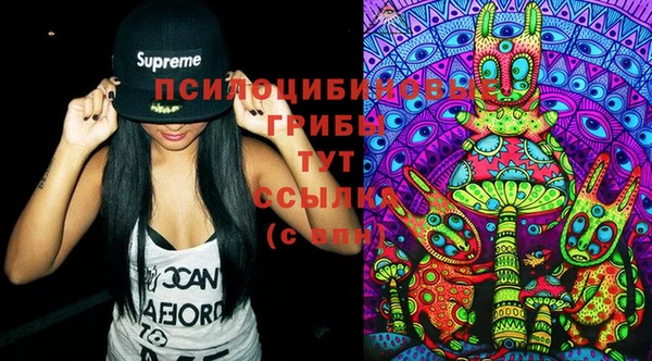 ECSTASY Медногорск
