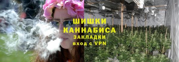 ECSTASY Медногорск